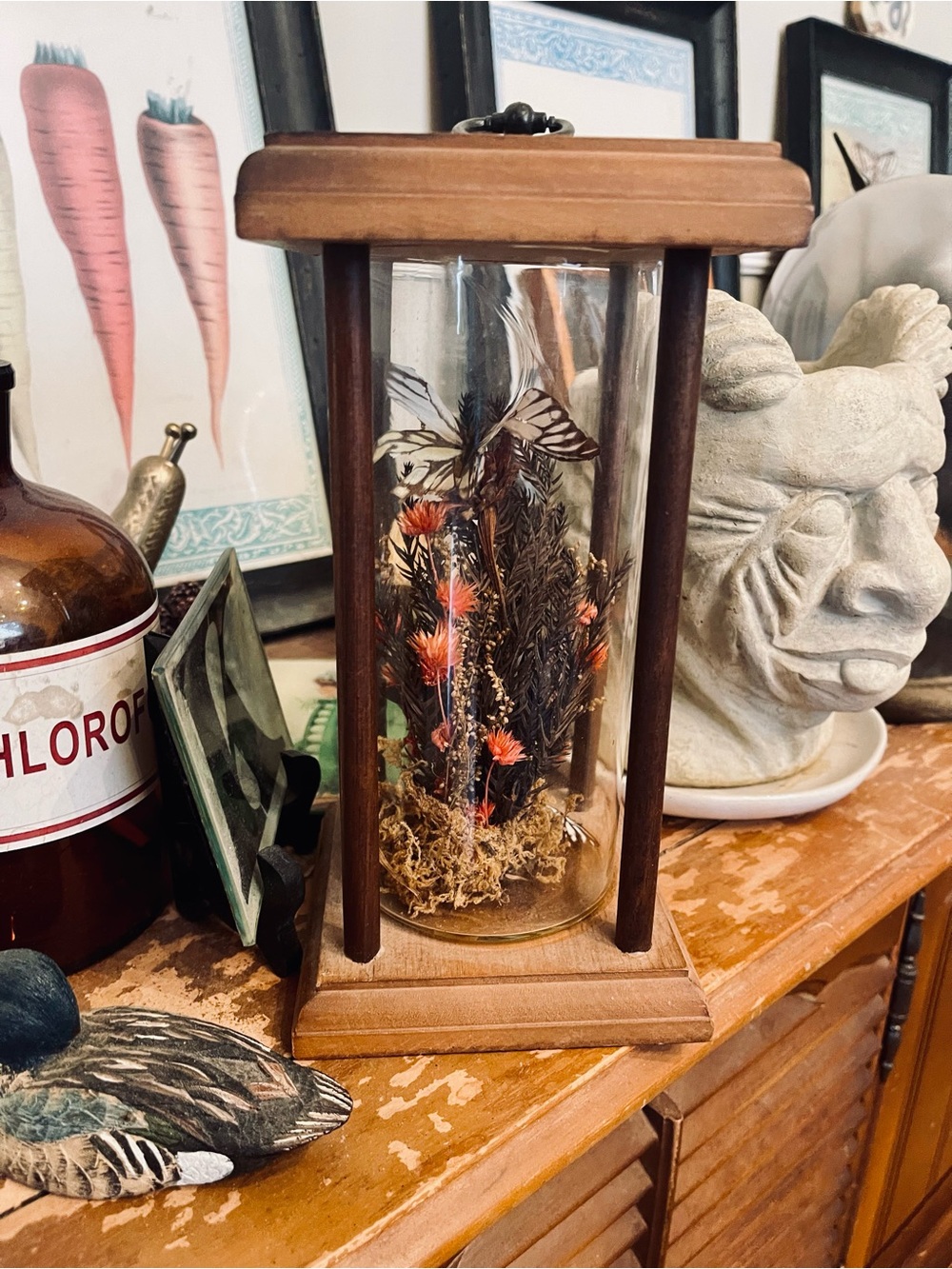 VINTAGE 70s Butterfly Taxidermy Cloche